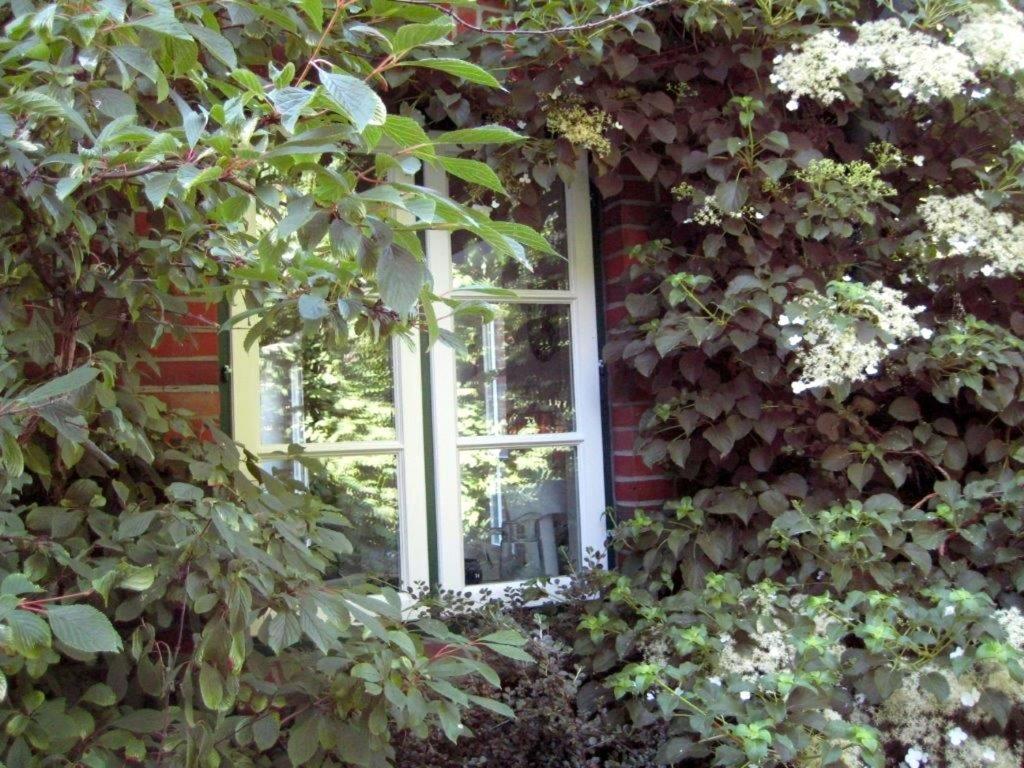 Ferienhaus Marsch auf Föhr Borgsum Exterior foto